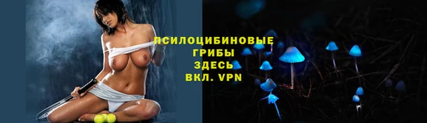 ешки Алзамай