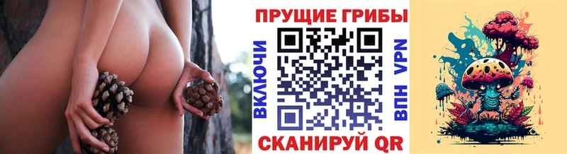 hydra маркетплейс  Грязовец  Галлюциногенные грибы Magic Shrooms 